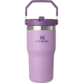 Botella de Agua Stanley Classic IceFlow con Popote - 20 oz.