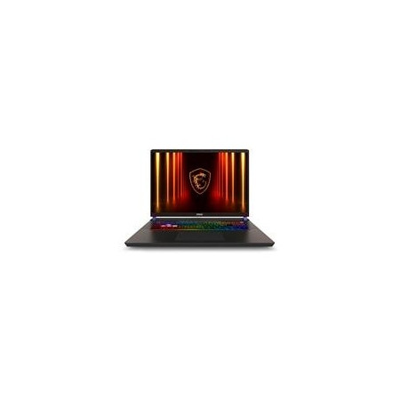 Laptop Gamer Msi Vector 17 Hx Ai A2XW / 17 Qhd 240HZ / Intel Core