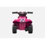 Coches Minnie Mouse Quad 6V Recargable - Juguete Divertido para Niños