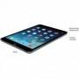 IPad de Apple restaurado Mini 2 16GB, Wi -Fi, 7.9 pulgadas - plata (me279ll/a) (restaurado)
